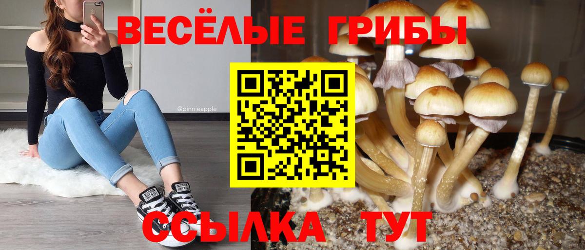 Псилоцибиновые грибы прущие грибы Карпинск